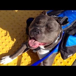 Meet your Posher, Orlaorlando